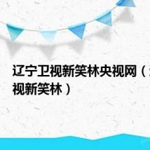 辽宁卫视新笑林央视网(辽宁卫视新笑林)