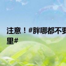 注意！#胖哪都不要胖这里#