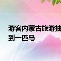游客内蒙古旅游抽奖抽到一匹马