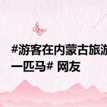 #游客在内蒙古旅游抽中一匹马# 网友