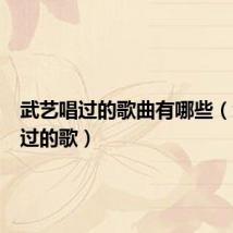 武艺唱过的歌曲有哪些(武艺唱过的歌)