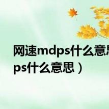 网速mdps什么意思（dps什么意思）