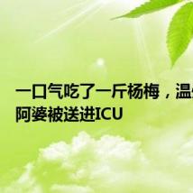 一口气吃了一斤杨梅，温州74岁阿婆被送进ICU