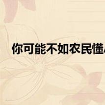 你可能不如农民懂AI