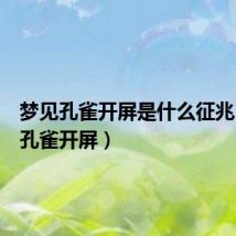 梦见孔雀开屏是什么征兆(梦见孔雀开屏)