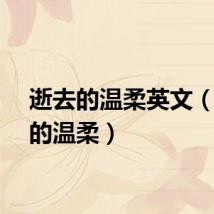 逝去的温柔英文（逝去的温柔）