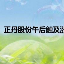 正丹股份午后触及涨停