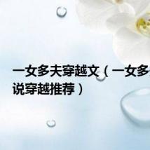 一女多夫穿越文(一女多夫的小说穿越推荐)