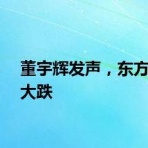董宇辉发声，东方甄选大跌