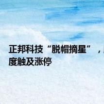 正邦科技“脱帽摘星”，股价一度触及涨停