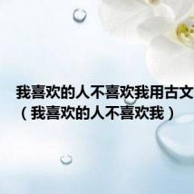 我喜欢的人不喜欢我用古文怎么说（我喜欢的人不喜欢我）