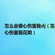 怎么会狠心伤害我dj（怎么会狠心伤害我花姐）