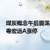 煤炭概念午后震荡走强 粤宏远A涨停
