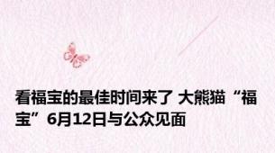 看福宝的最佳时间来了 大熊猫“福宝”6月12日与公众见面