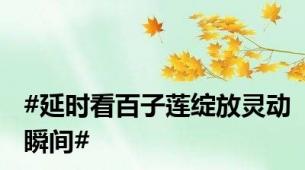 #延时看百子莲绽放灵动瞬间#