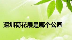 深圳荷花展是哪个公园