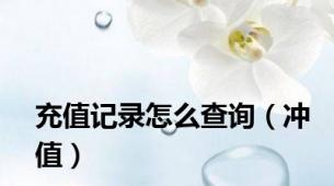 充值记录怎么查询（冲值）