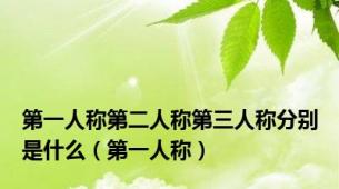 第一人称第二人称第三人称分别是什么（第一人称）