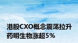 港股CXO概念震荡拉升 药明生物涨超5%