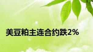 美豆粕主连合约跌2%
