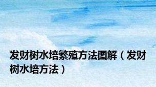 发财树水培繁殖方法图解（发财树水培方法）