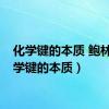 化学键的本质 鲍林（化学键的本质）