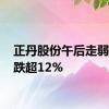 正丹股份午后走弱 盘中跌超12%