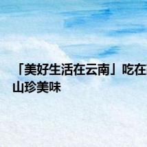 「美好生活在云南」吃在篆新之山珍美味