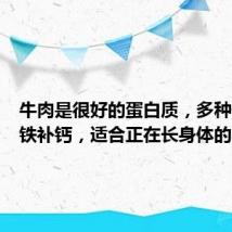 牛肉是很好的蛋白质,多种做法补铁补钙,适合正在长身体的小朋友