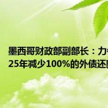 墨西哥财政部副部长：力争到2025年减少100%的外债还款