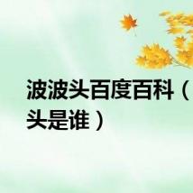 波波头百度百科（波波头是谁）