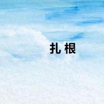 扎 根