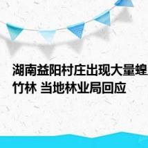 湖南益阳村庄出现大量蝗虫啃食竹林 当地林业局回应