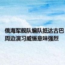 俄海军舰队编队抵达古巴 俄在美周边演习威慑意味强烈