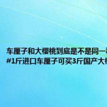 车厘子和大樱桃到底是不是同一种水果?#1斤进口车厘子可买3斤国产大樱桃#