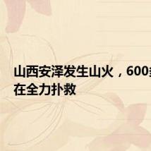 山西安泽发生山火，600多人正在全力扑救