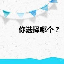 你选择哪个？