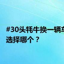 #30头牦牛换一辆车# 你选择哪个?