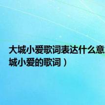 大城小爱歌词表达什么意思(大城小爱的歌词)