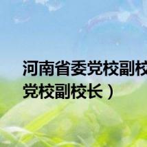 河南省委党校副校长（党校副校长）