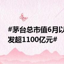 #茅台总市值6月以来蒸发超1100亿元#