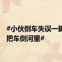 #小伙倒车失误一脚油门把车倒河里#