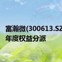 富瀚微(300613.SZ2023年度权益分派