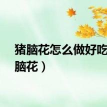 猪脑花怎么做好吃（猪脑花）