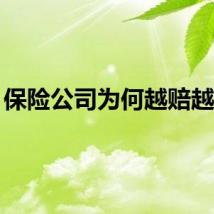 保险公司为何越赔越多？
