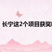 长宁这2个项目获奖啦～