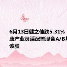 6月13日健之佳跌5.31%,融通健康产业灵活配置混合A/B基金重仓该股