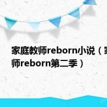 家庭教师reborn小说（家庭教师reborn第二季）