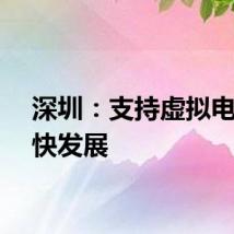 深圳：支持虚拟电厂加快发展