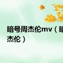 暗号周杰伦mv（暗号周杰伦）